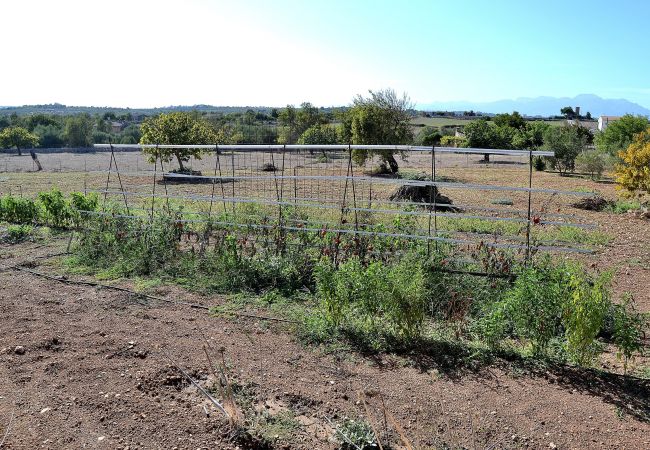 Domaine à Santa Margalida - 054 Finca Es Bosquerró ETV/5362 by Mallorca Charme Domaine à Santa Margalida - 054 Finca Es Bosquerró ETV/5362 by Mallorca Charme