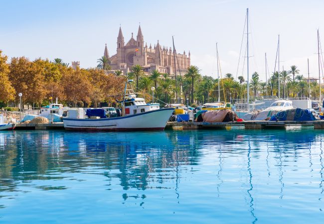 Domaine à Santa Margalida - 054 Finca Es Bosquerró ETV/5362 by Mallorca Charme Domaine à Santa Margalida - 054 Finca Es Bosquerró ETV/5362 by Mallorca Charme