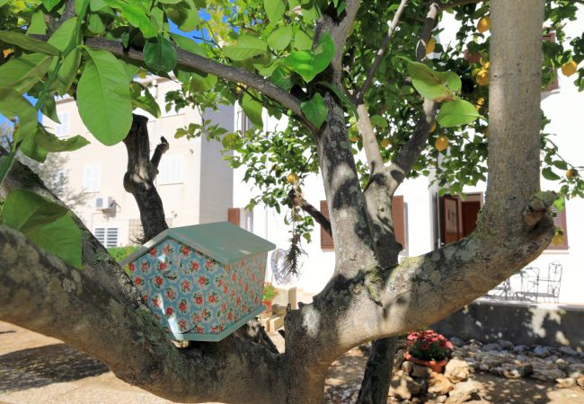 Maison à Alcúdia - 080 Casa Can Xim ETV/8770 by Mallorca Charme Maison à Alcúdia - 080 Casa Can Xim ETV/8770 by Mallorca Charme