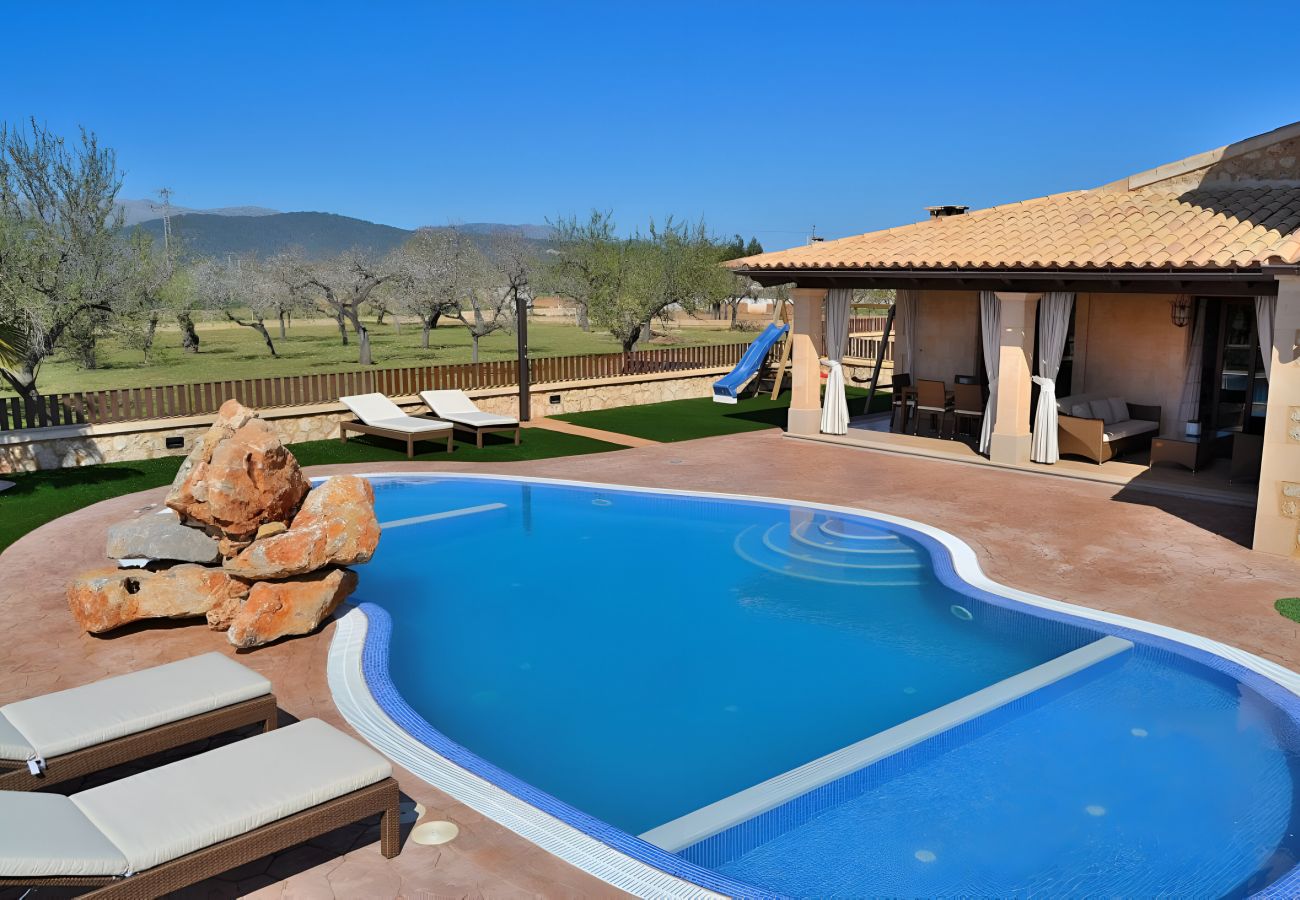 Piscine, plein air, vacances, soleil