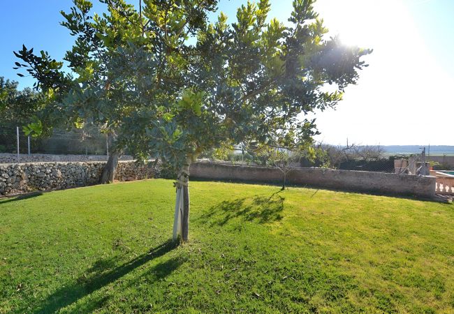 Domaine à Ariany - 078 Finca Sa Rota VT/1953 by Mallorca Charme Domaine à Ariany - 078 Finca Sa Rota VT/1953 by Mallorca Charme