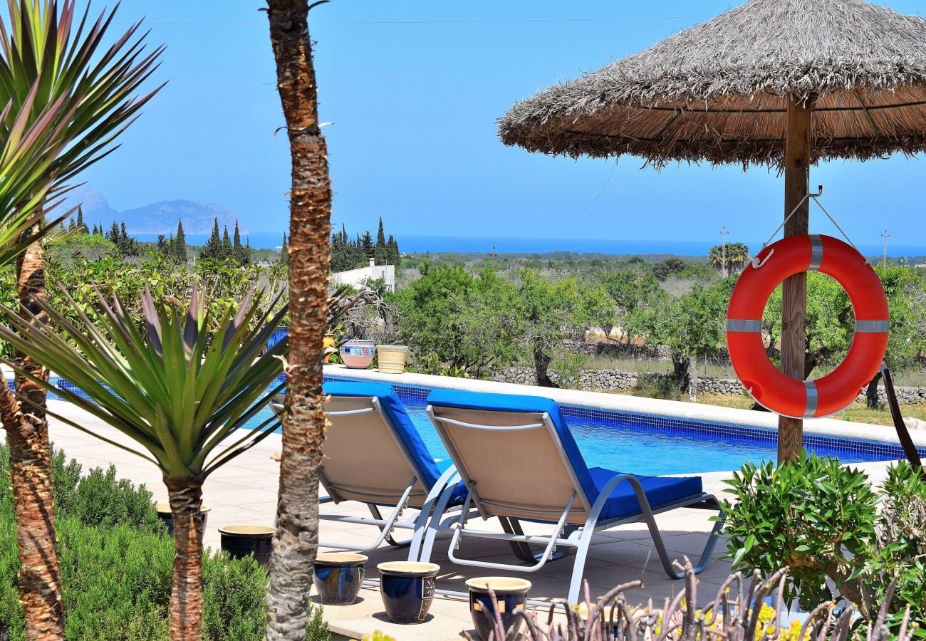 vues, luxe, piscine, nature