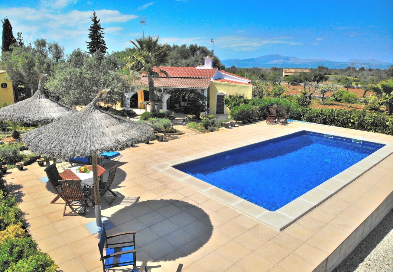Finca de vacances, piscine, nature, Majorque, vacances