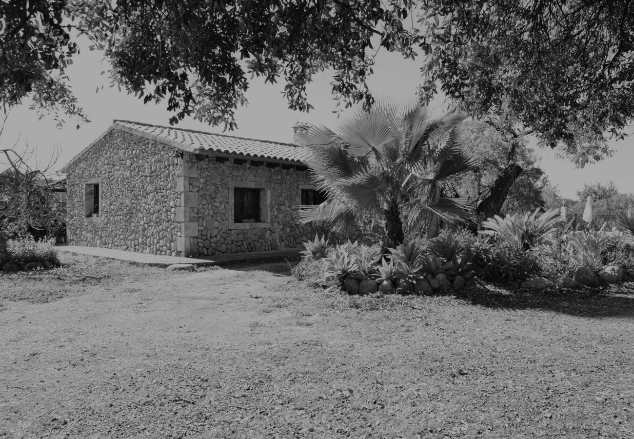 Domaine à Buger - 115 Finca Sa Figuera Blanca ETV/2736 by Mallorca C