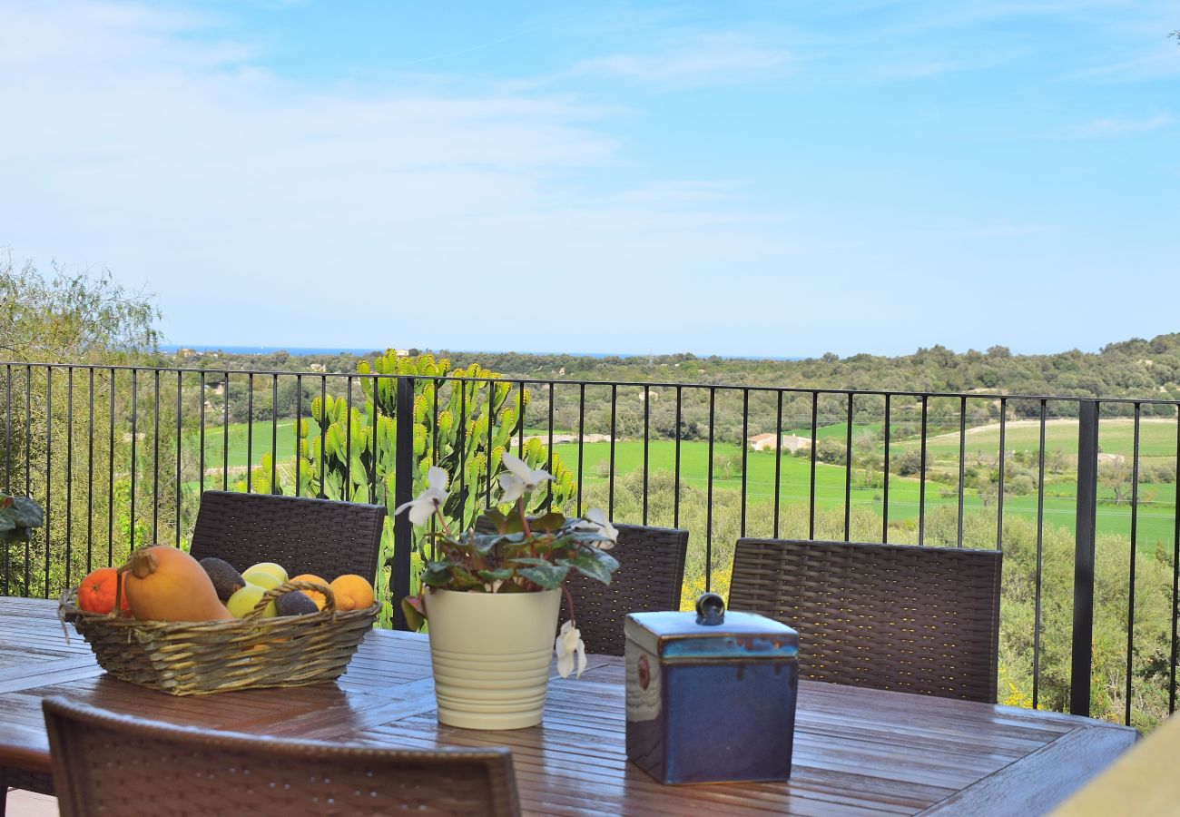 Grande terrasse avec vue imprenable