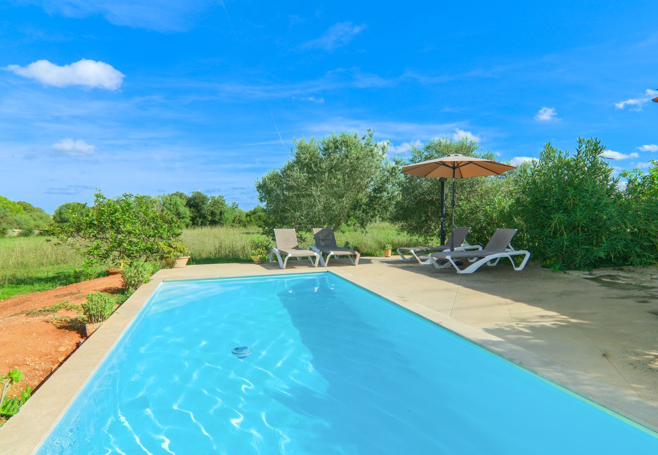 Domaine à Llubi - 137 Finca Son Bernat ETV/9442 by Mallorca Charme