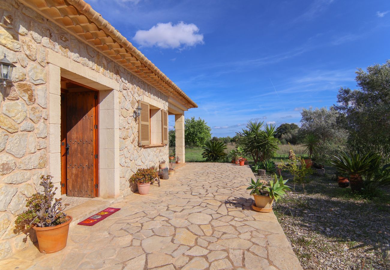 Domaine à Llubi - 137 Finca Son Bernat ETV/9442 by Mallorca Charme