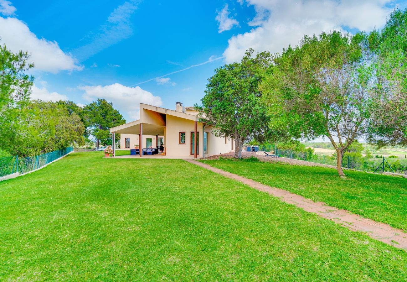 Domaine à Santa Margalida - SON VADOR Finca avec piscine pour 8 à Santa Margalida