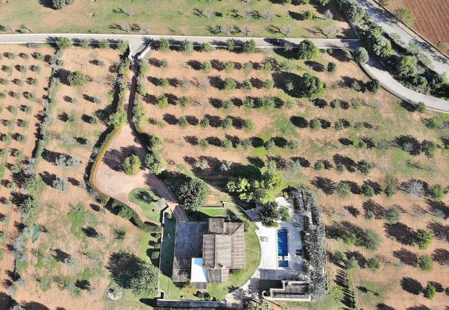 Domaine à Binissalem - 151 Villa Es Triquet ET/3366 by Mallorca Charme Domaine à Binissalem - 151 Villa Es Triquet ET/3366 by Mallorca Charme