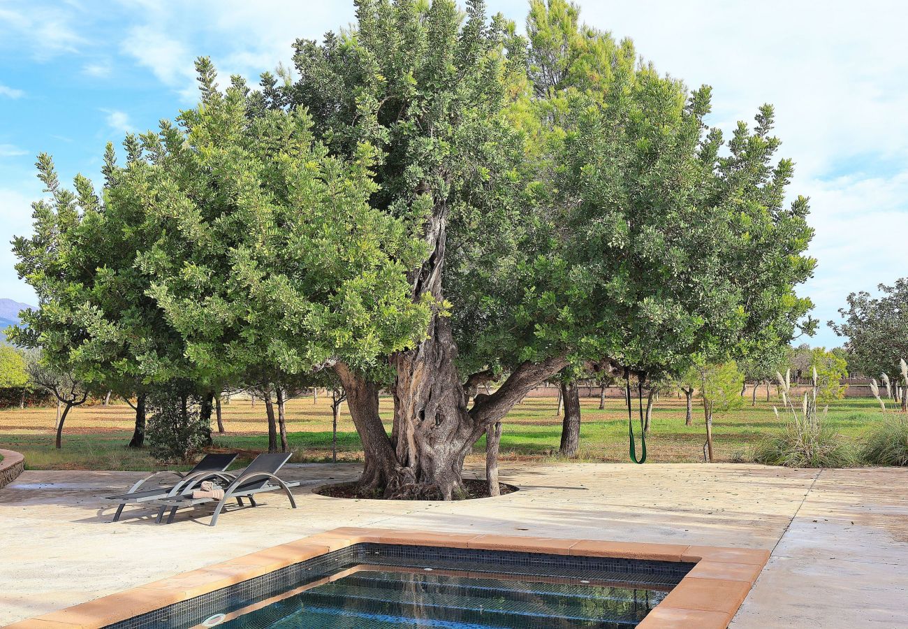 Domaine à Binissalem - 151 Villa Es Triquet ET/3366 by Mallorca Charme