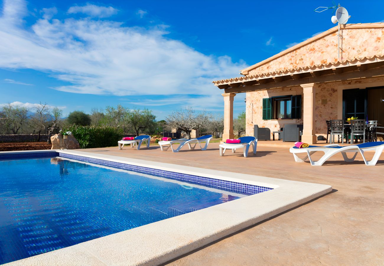 Espace, Jardin, Propriété, Terrasse, Tranquillité