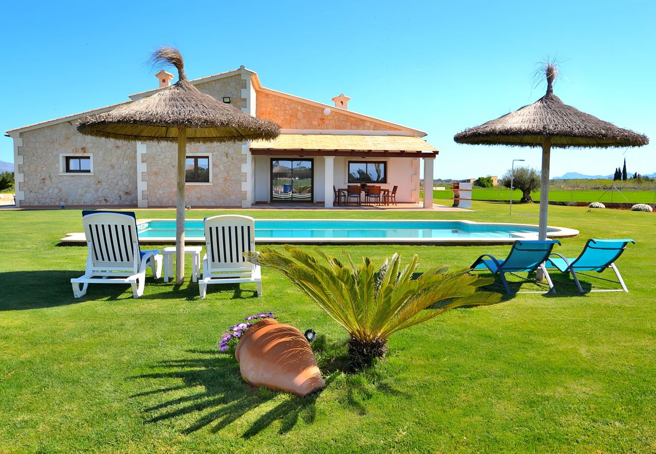 Beau jardin, piscine, finca, campagne, Majorque