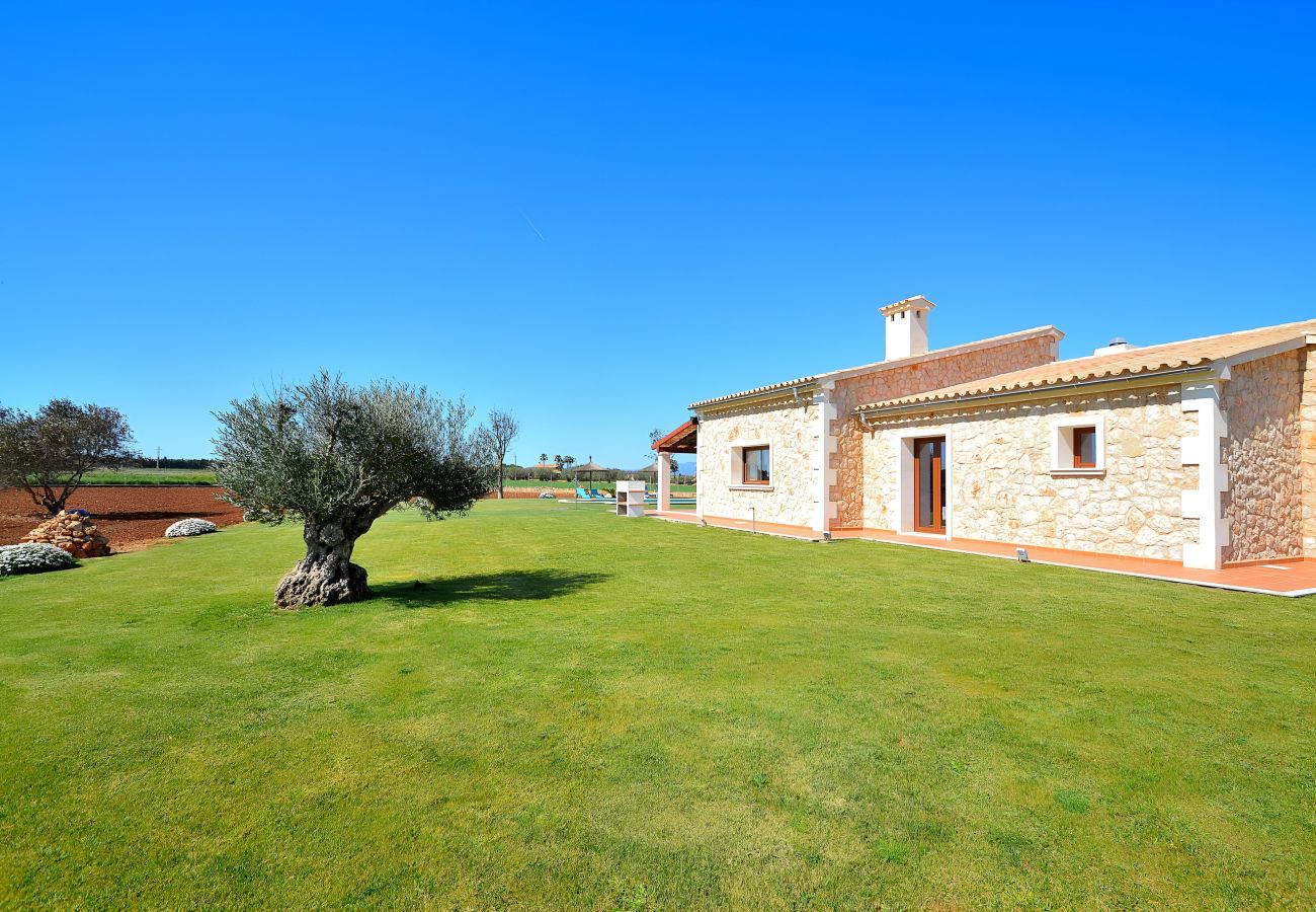 Domaine à Muro - 178 Villa Flor de Sal ETV/8491 by Mallorca Charme