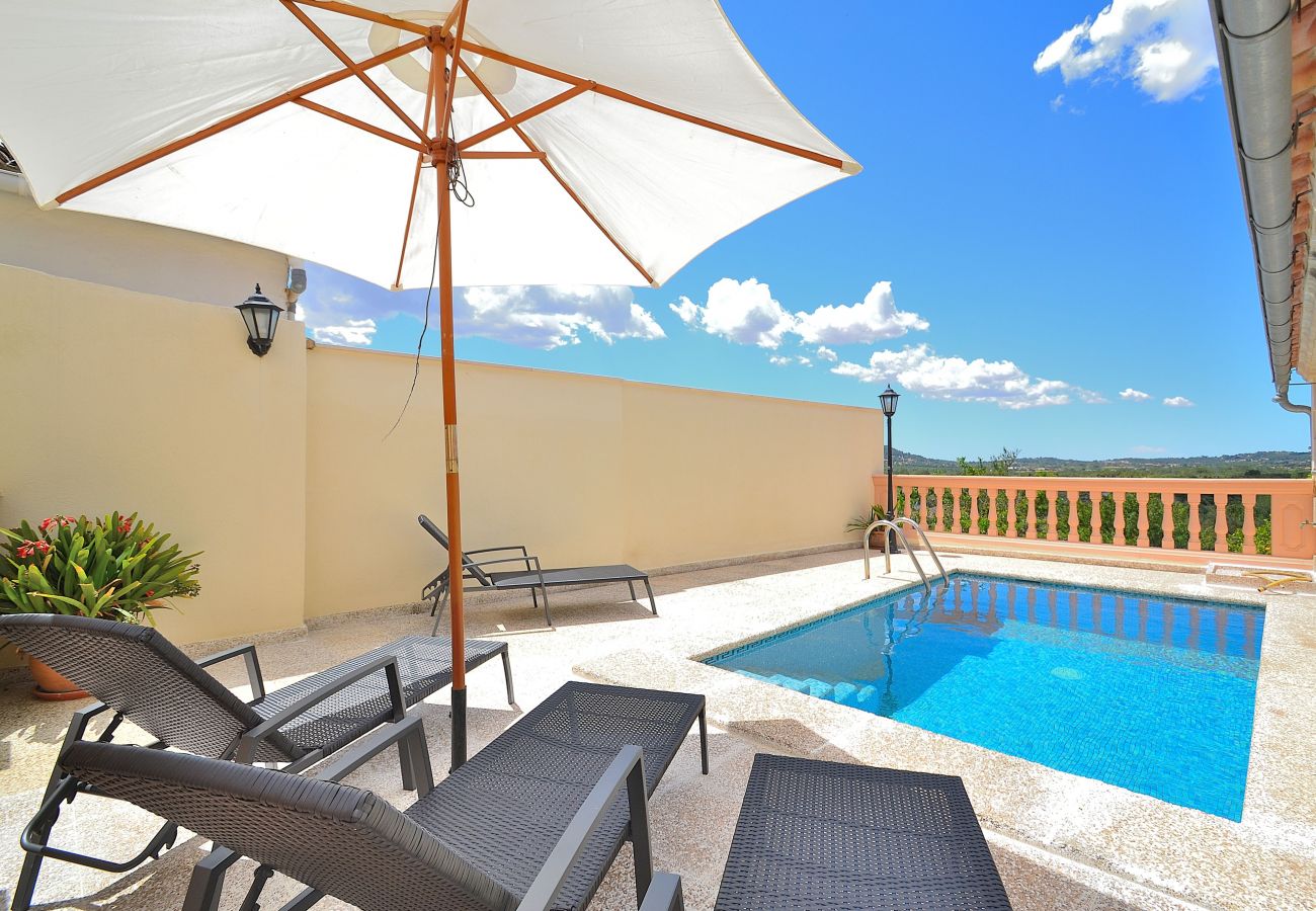 Piscine, vue panoramique, nature, chaises longues, ciel bleu