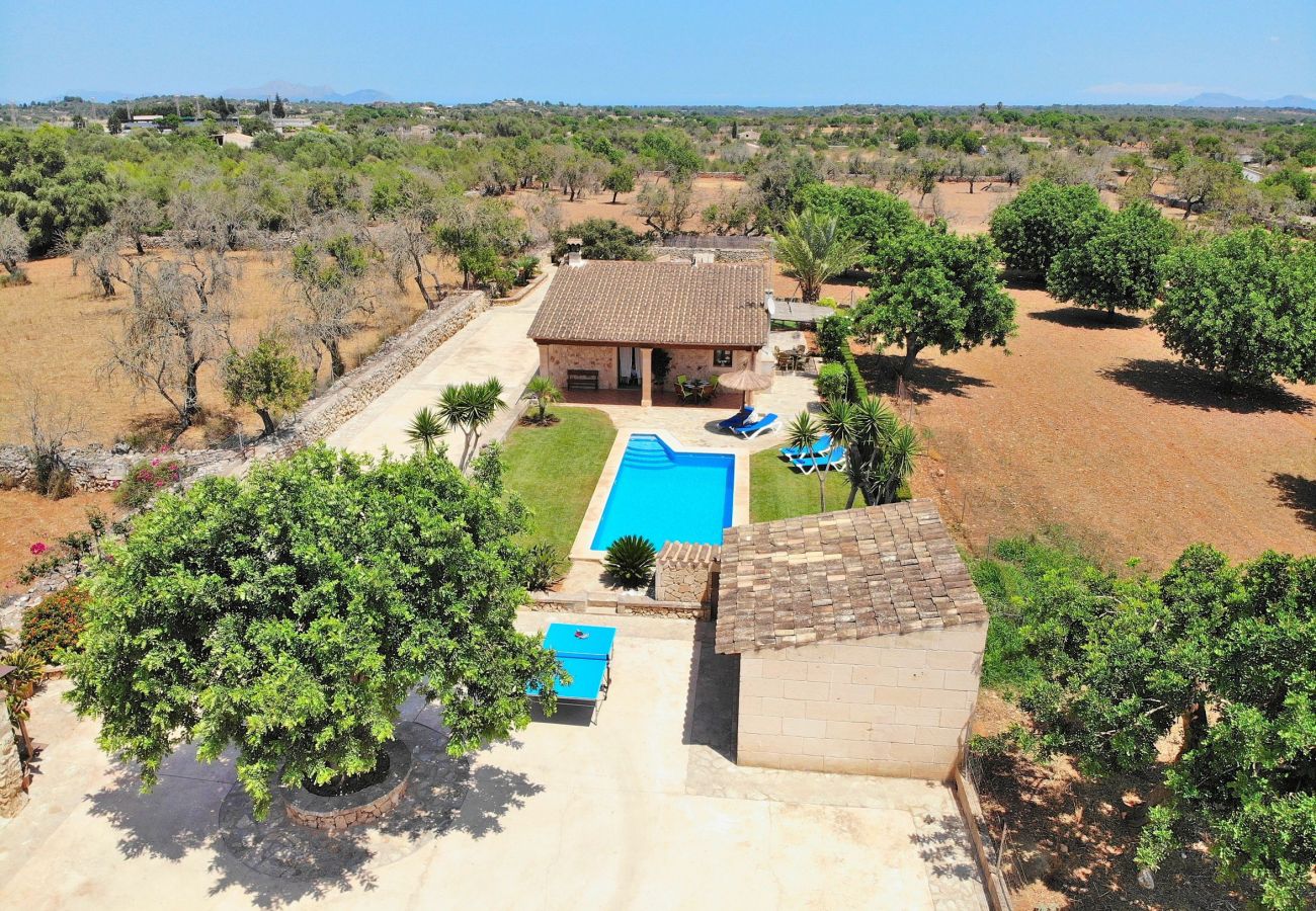 vues, vacances, nature, villa, piscine 