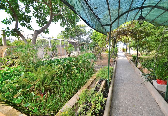 Maison à Muro - 187 Villa Can Bisbe ETV/8522 by Mallorca Charme Maison à Muro - 187 Villa Can Bisbe ETV/8522 by Mallorca Charme