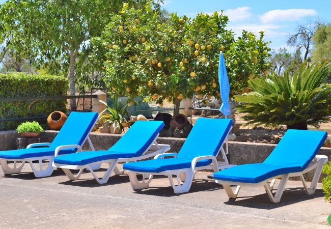 Domaine à Llubi - 193 Finca Son Rossignol ETV/4966 by Mallorca Charm Domaine à Llubi - 193 Finca Son Rossignol ETV/4966 by Mallorca Charm