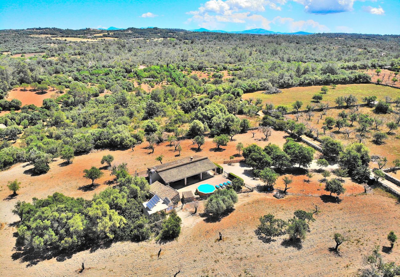 Domaine à Llubi - 193 Finca Son Rossignol ETV/4966 by Mallorca Charm