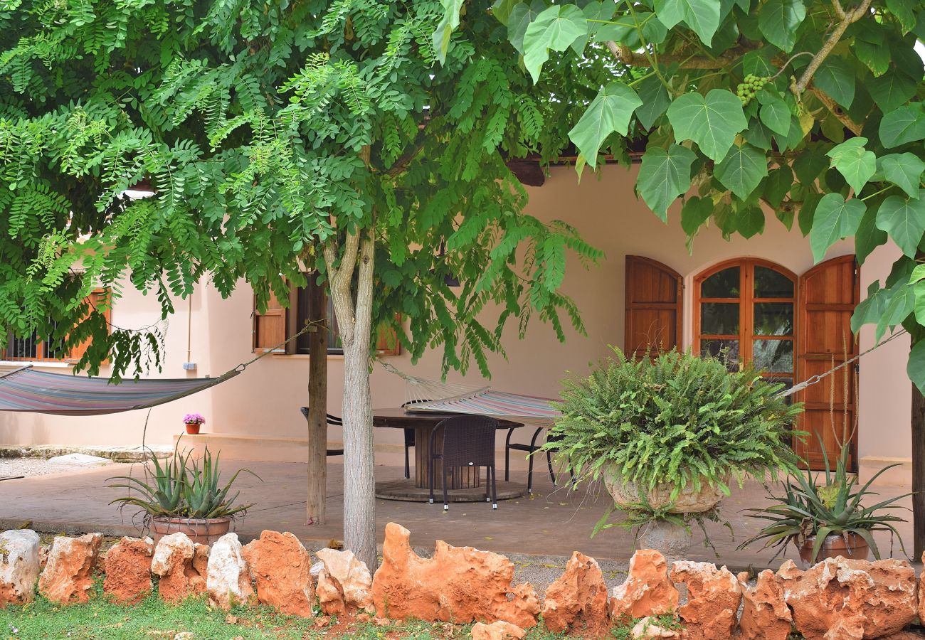 vacances, terrasse, nature, calme et tranquillité