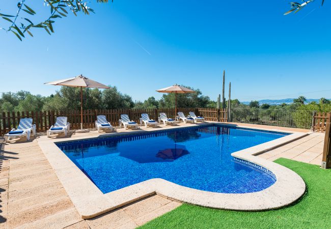 Domaine à Majorque/Mallorca - CAN VALERO pour 12 personnes à Palma avec Piscine