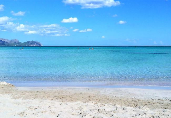 Villa à Muro - 056 Villa Es Moli ETV/6301 by Mallorca Charme Villa à Muro - 056 Villa Es Moli ETV/6301 by Mallorca Charme