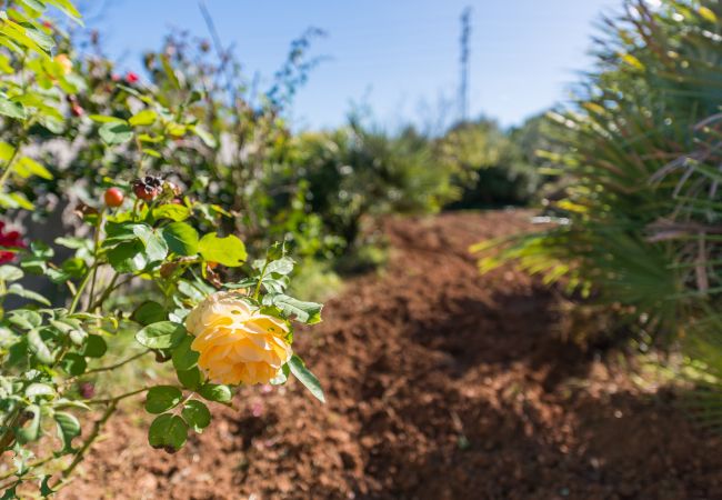 Domaine à Capdepera - BONA VISTA Belle finca pour 8 personnes à Capdepera. WiFi gratuit