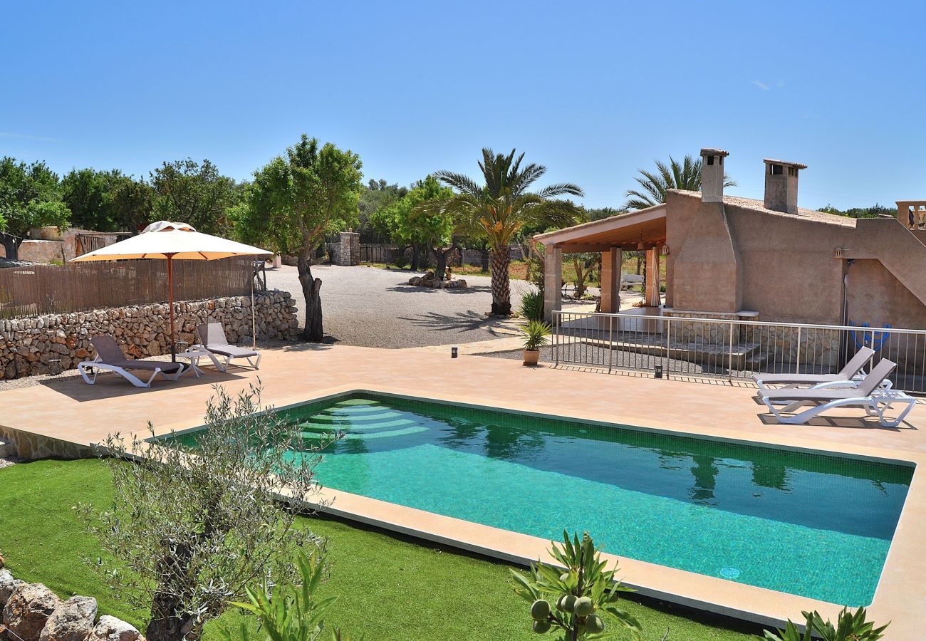 piscine, vacances, été, nature, location 
