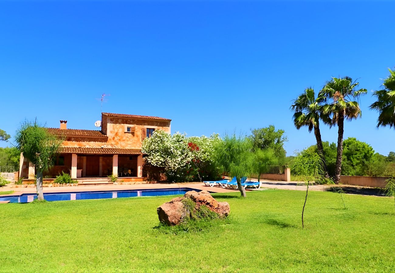 Jardin, espace ouvert, soleil, vacances