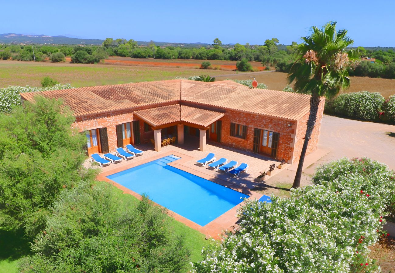 Grande finca avec piscine et jardin