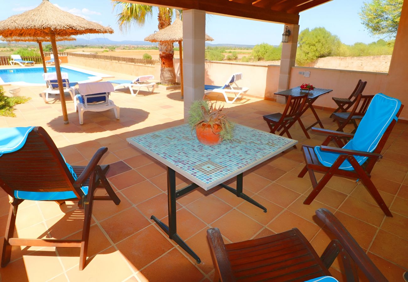 Terrasse, piscine, Finca, calme, belle