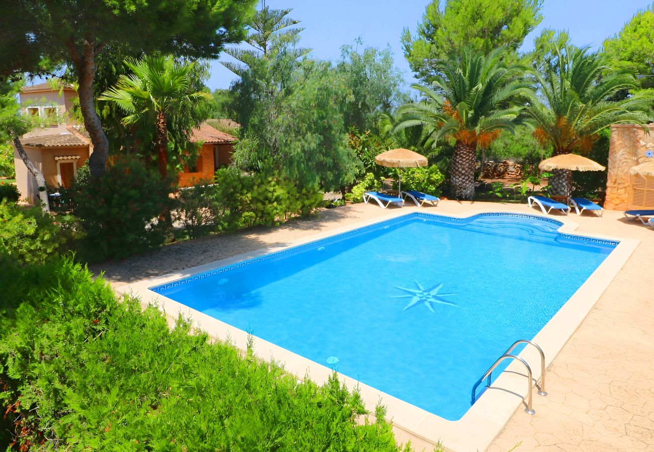 Jardin, nature, piscine, beau, Majorque