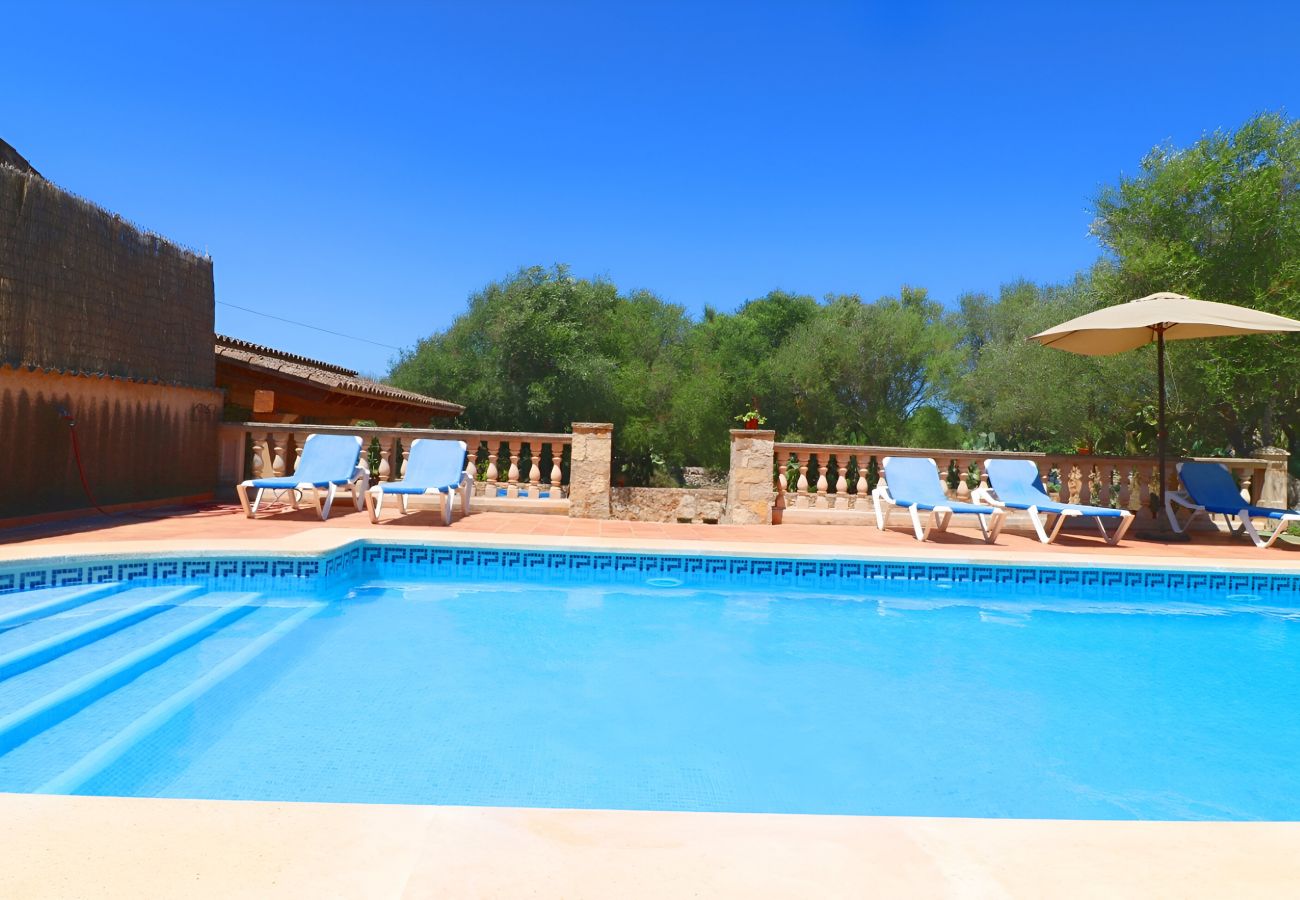 Grande piscine, jardin, terrasse, Finca