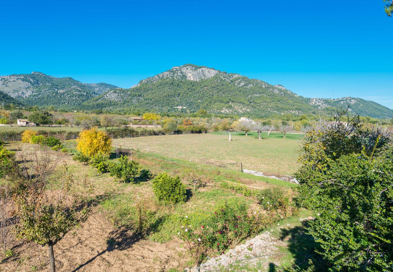 Domaine à Moscari - VILVAL Finca pour 4 avec piscine à Moscari