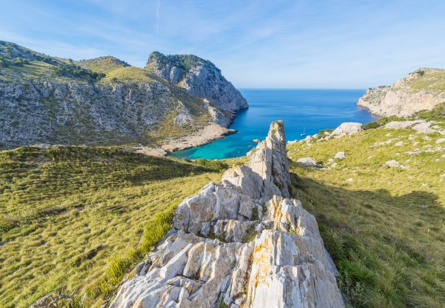 Domaine à Inca - C124 Porxet by Mallorca Villa Selection Domaine à Inca - C124 Porxet by Mallorca Villa Selection