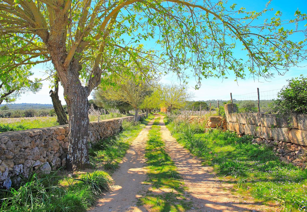 Domaine à Son Serra de Marina - 235 Sa Cabaneta. S'original ETV/9570 by Mallorca