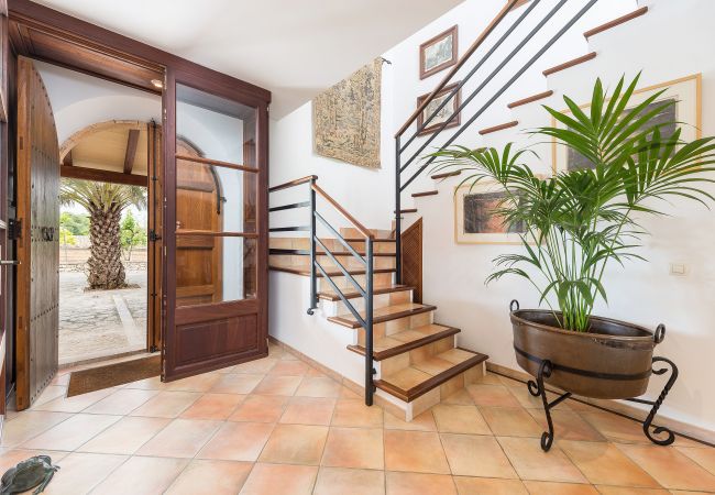 Domaine à Arta - C162 El Molino by Mallorca Villa Selection Domaine à Arta - C162 El Molino by Mallorca Villa Selection