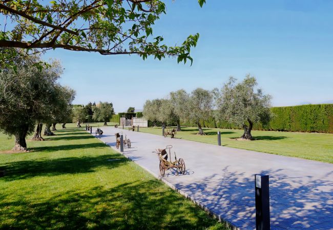 Domaine à Sa Pobla - C203 Sant Vicens by Mallorca Villa Selection Domaine à Sa Pobla - C203 Sant Vicens by Mallorca Villa Selection