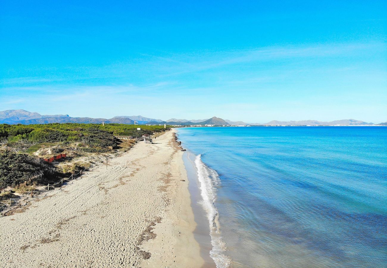 Appartement à Port d´Alcudia - 134 Apartamento Pins-Tugores ETVPL/13155 by Mallor