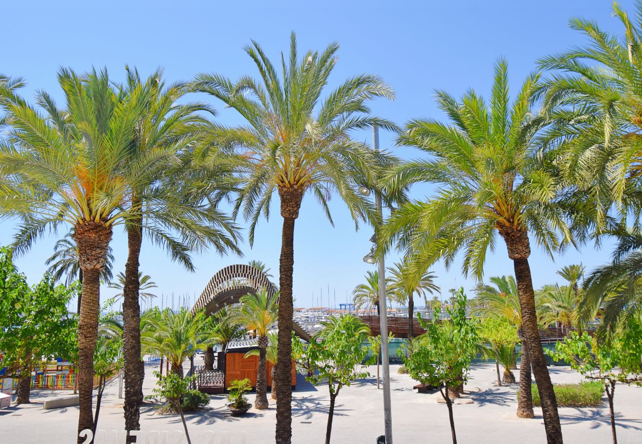 Appartement à Port d´Alcudia - 134 Apartamento Pins-Tugores ETVPL/13155 by Mallor