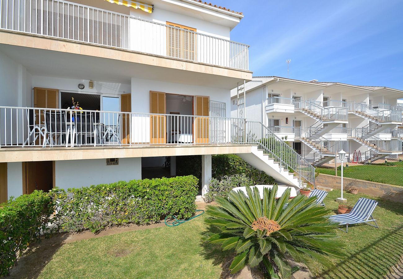 Appartement à Alcudia - 174 Apartamento Fantastic ETVPL/12650 by Mallorca