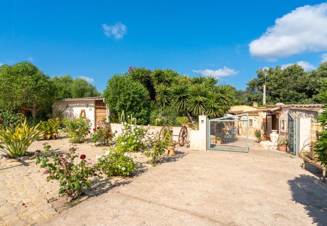 Domaine à Arta - E219 Kashmir by Mallorca Villa Selection Domaine à Arta - E219 Kashmir by Mallorca Villa Selection