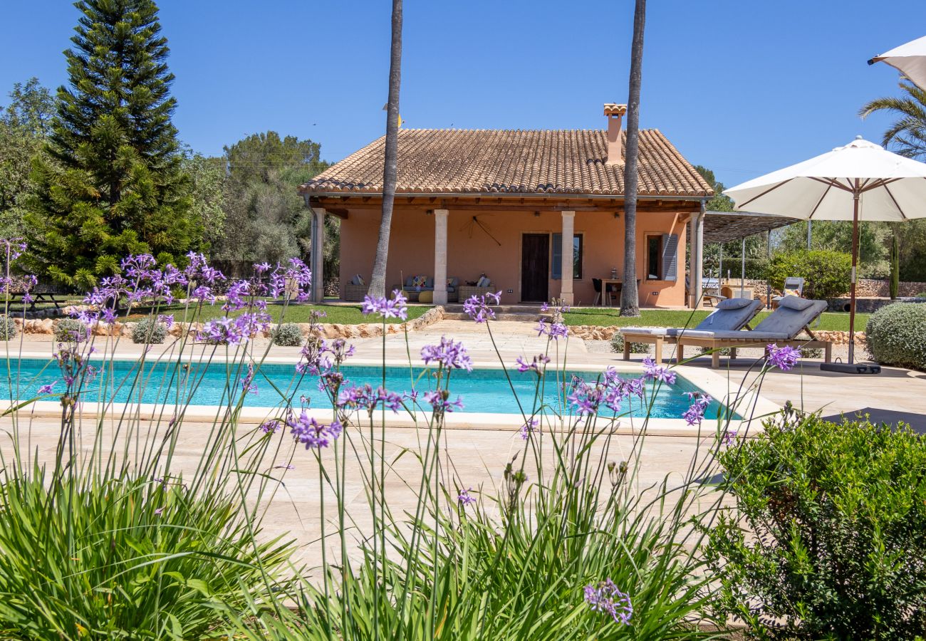 Villa à Muro - 019 Villa Nuria ET/2369 by Mallorca Charme
