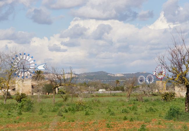 Domaine à Campos - 411 Finca Sa Costa ETV1976 by Mallorca Charme Domaine à Campos - 411 Finca Sa Costa ETV1976 by Mallorca Charme