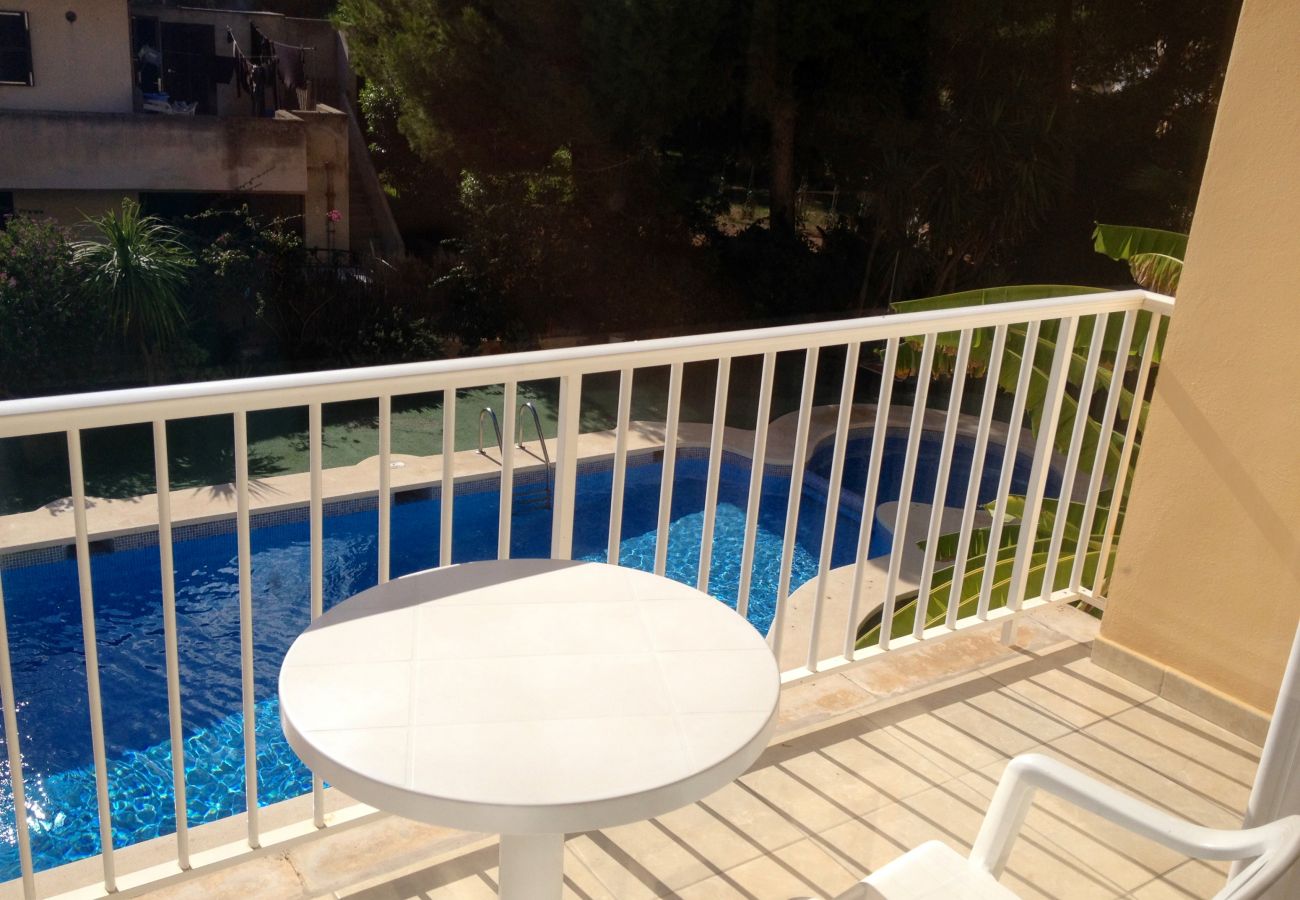 Piscine, vacances, terrasse, jardin, Majorque