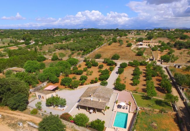 Domaine à Ariany - SA ROTA villa rurale pour 6 à Ariany avec piscine