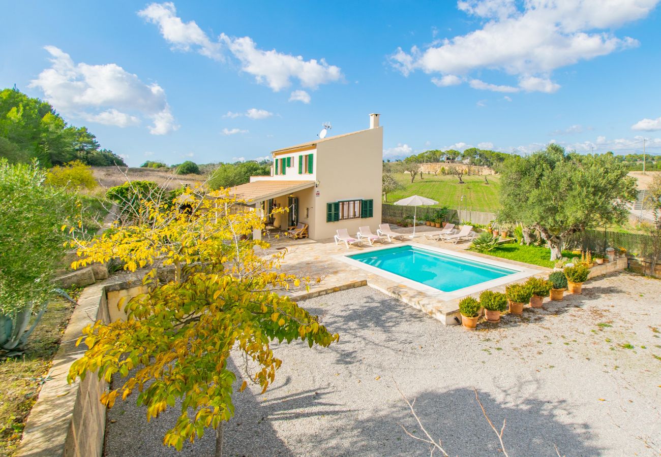 Domaine à Santa Margalida - SON VADO typique finca majorquine pour 4 à Santa Margarita avec piscine