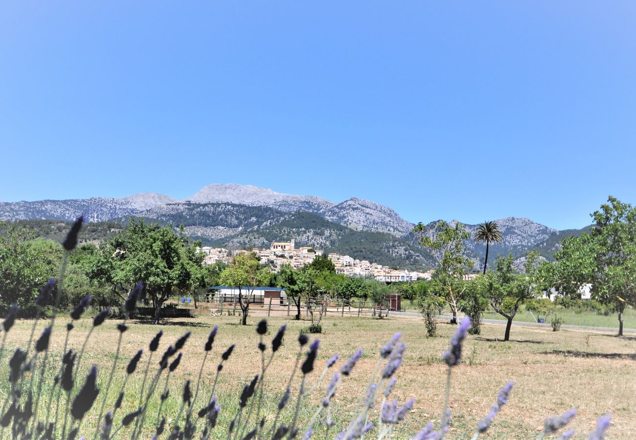 Domaine à Selva - SON RUBI Finca pour 7 à Selva avec piscine