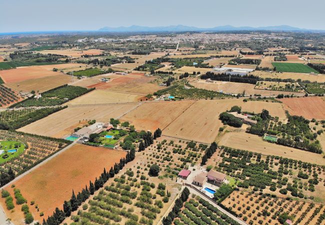 Villa à Muro - 239 Villa Biniaco ETV/4993 by Mallorca Charme Villa à Muro - 239 Villa Biniaco ETV/4993 by Mallorca Charme