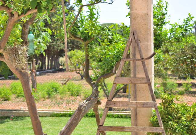 Villa à Muro - 239 Villa Biniaco ETV/4993 by Mallorca Charme Villa à Muro - 239 Villa Biniaco ETV/4993 by Mallorca Charme