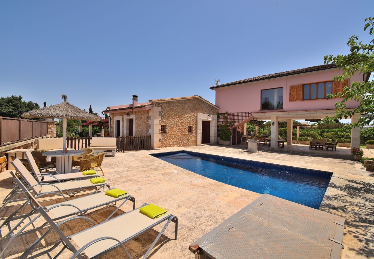 Finca, piscine, campagne, nature, soleil